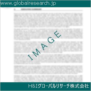 グローバルリサーチ調査資料のイメージ